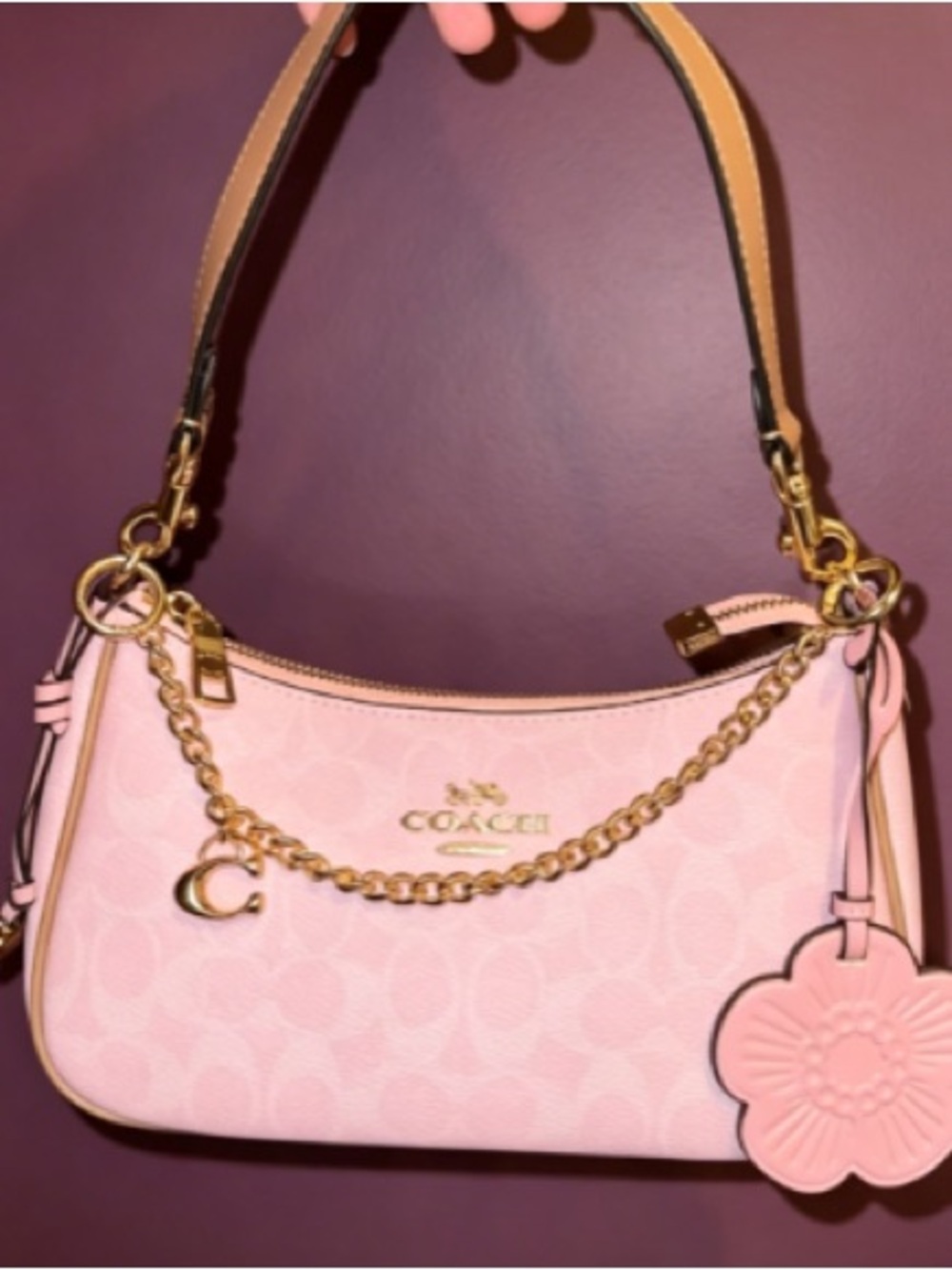 Coach Pink Signature Mini Shoulder Bag with Gold Chain